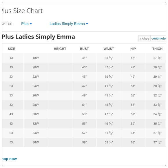 ๐HP๐NWT Elegant Lace Plus Size Top In Black - Picture 2 of 2